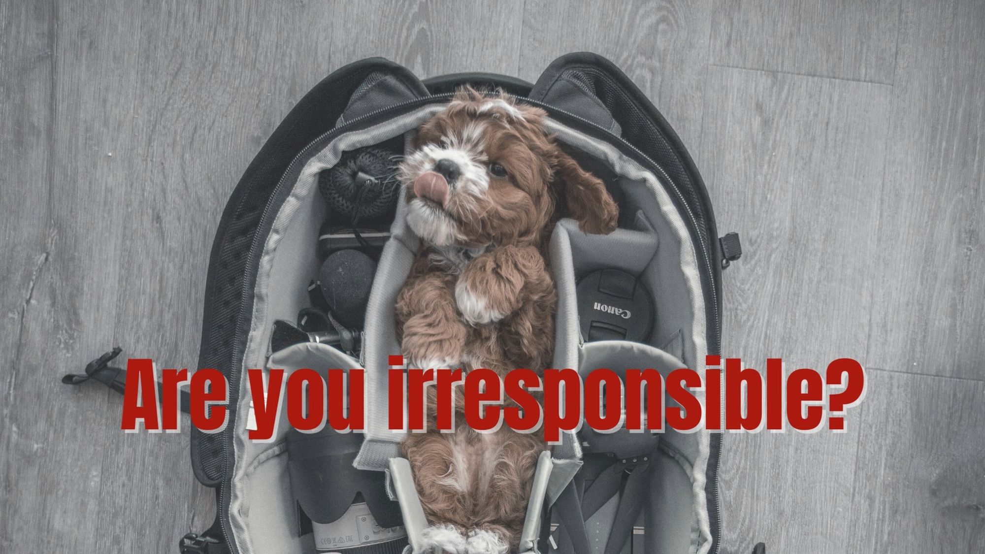 are you irresponsible?