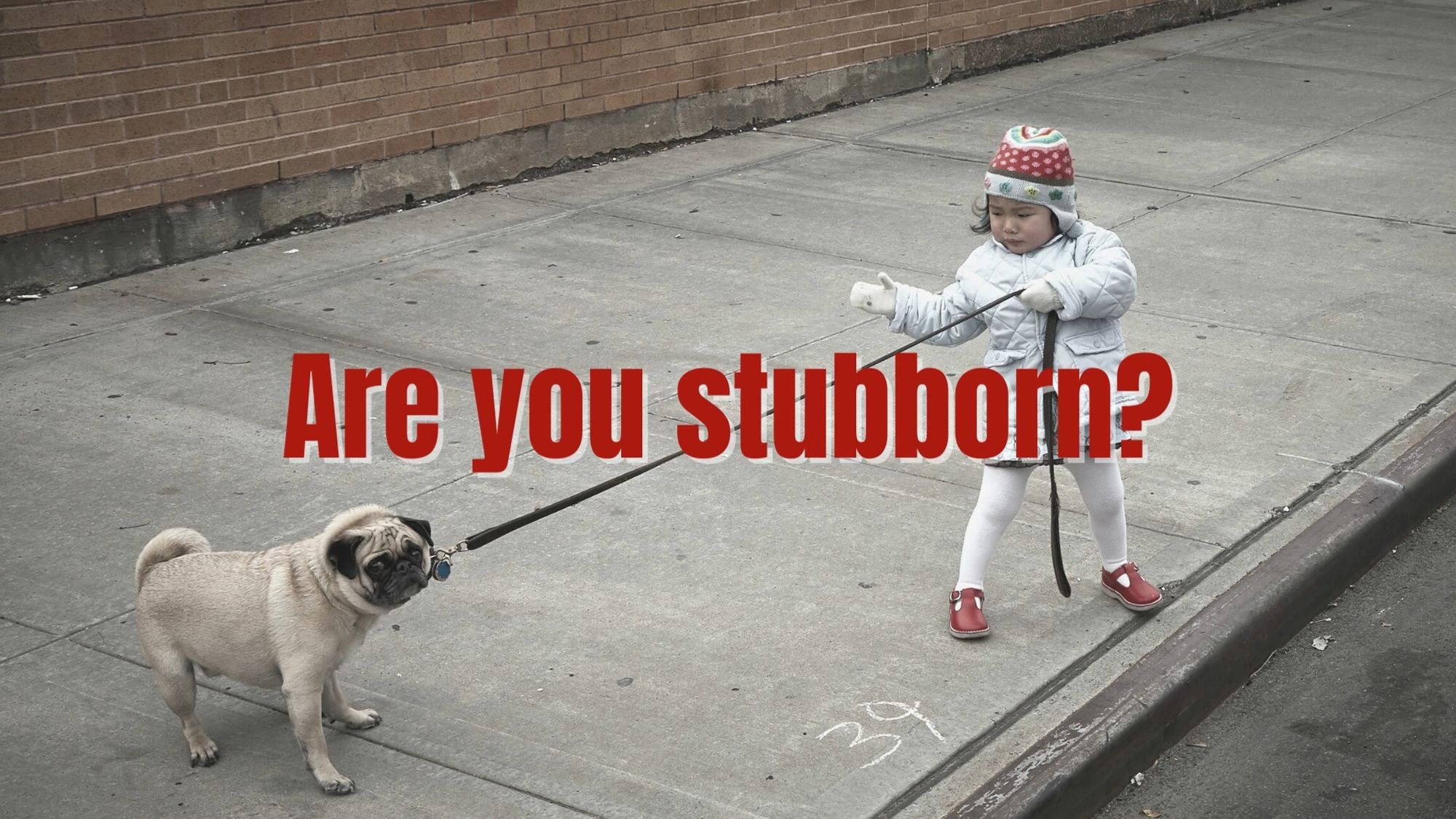 are you stubborn?